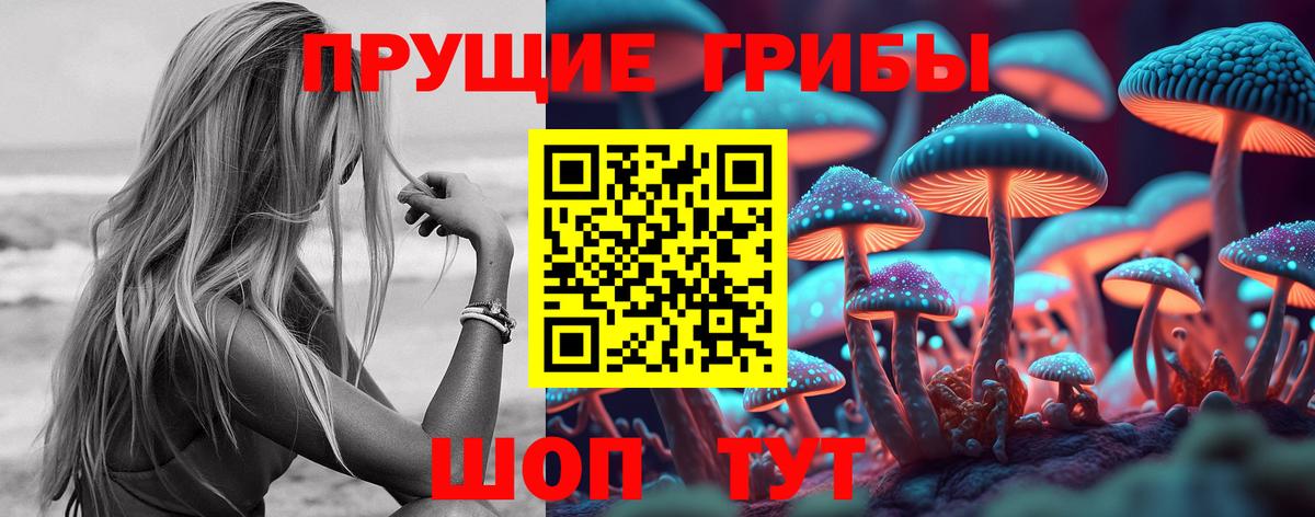 Чернушка  Псилоцибиновые грибы Cubensis  Вход с VPN  Псилоцибиновые грибы мухоморы 