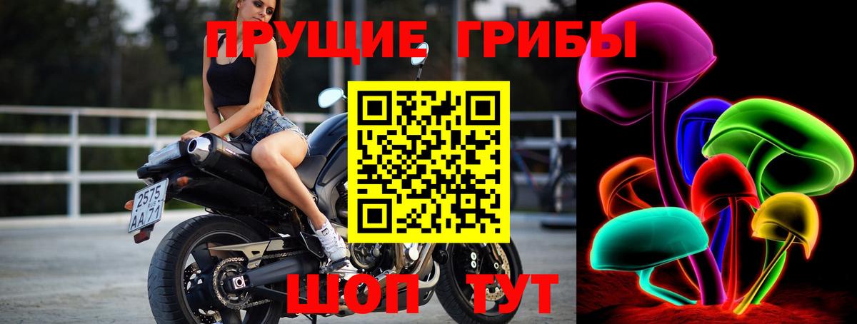 Псилоцибиновые грибы мухоморы Чернушка